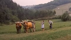Asturias en 1962