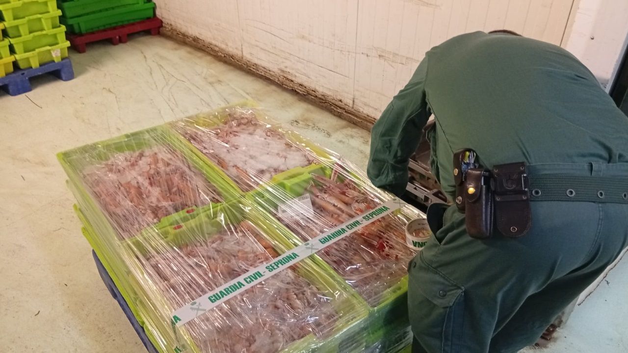 Interceptan 281 kilos de cigala indocumentada con destino a A Coruña