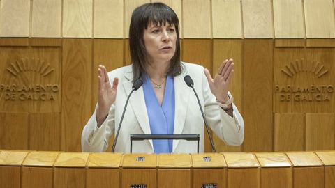 La portavoz nacional del BNG, Ana Pont&oacute;n, durante su discurso.
