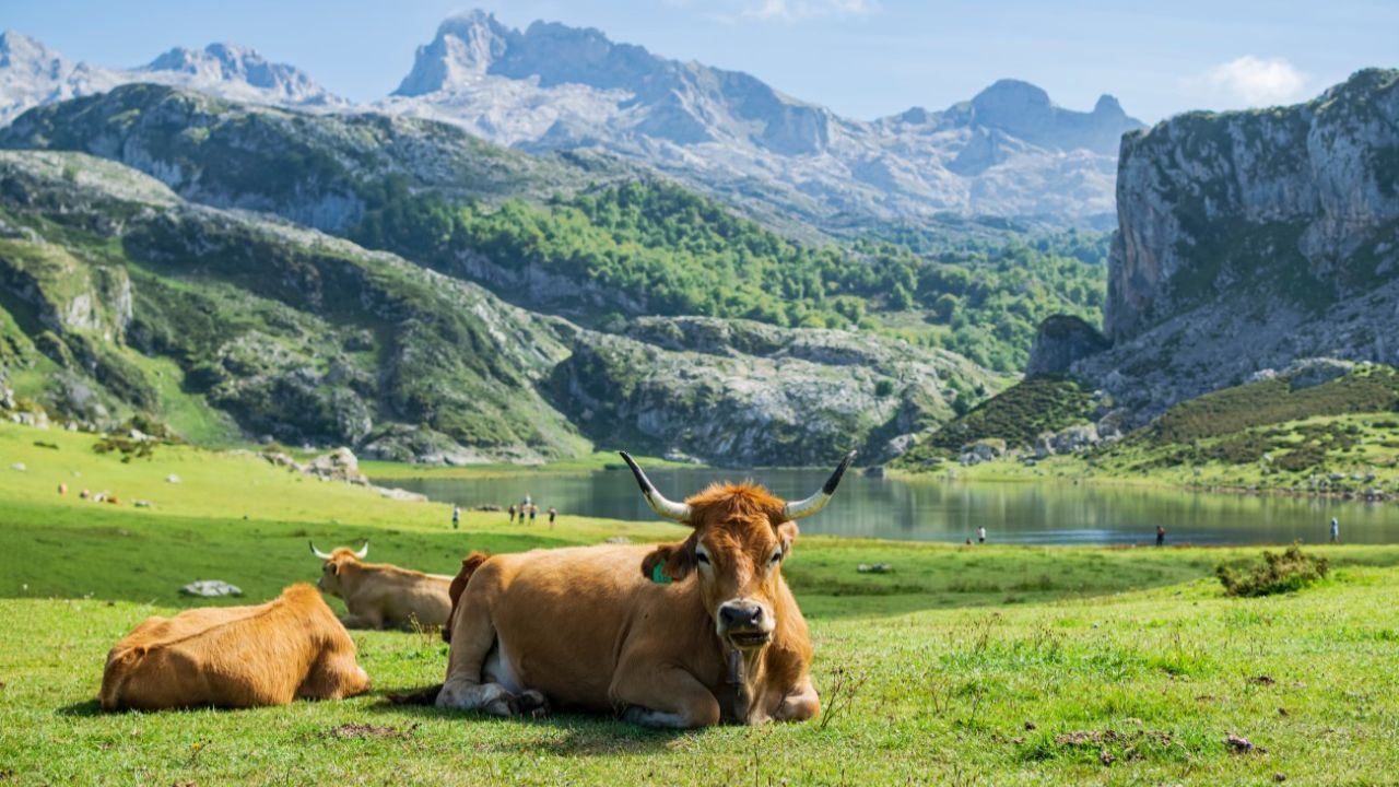 el-influencer-estadounidense-que-se-rinde-a-asturias-una-de-las