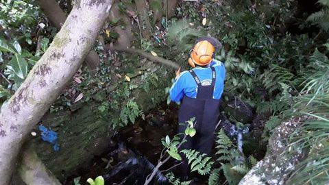 Los trabajos est�n promovidos por Augas de Galicia