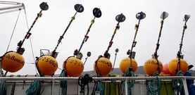 Boyas que se�alizan el aparejo de uno de los pincheiros de Gran Sol parados en Burela -en la foto-, Celeiro, Ond�rroa y A Coru�a.