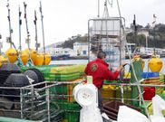 En Celeiro y Burela tienen base 34 barcos de bandera espa�ola.