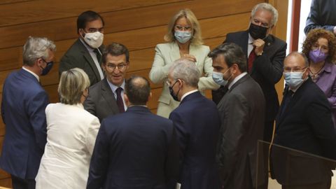 Feijoo durante el pleno del parlamento de elecci�n de senadores.