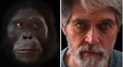 La evoluci�n humana en los �ltimos seis millones de a�os