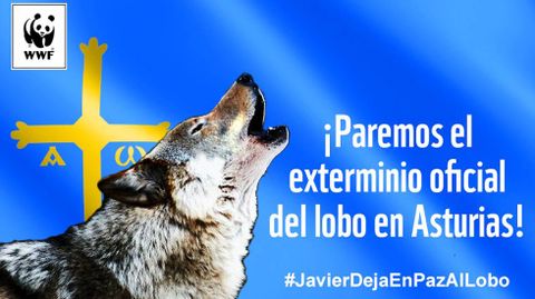 Cartel con el que se ilustra la campaña de recogida de firmas contra las batidas de lobos.Cartel con el que se ilustra la campaña de recogida de firmas contra las batidas de lobos