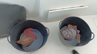 Dos tortugas bobas recuperadas en el CRAMA de la Fundaci�n BIOPARC