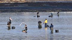 El marisqueo a pie trabaj� en diciembre, aunque con problemas por la mortandad de la almeja