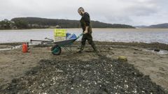 Trabajadores de Porto Mu��os comenzaron a preparar el s�bado el terreno en el Anll�ns