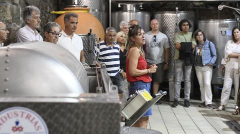 Zona de la bodega donde fermentan los vinos tras la entrada de la uva