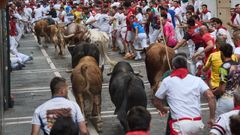 Los toros de la ganader�a �lvaro N��ez protagonizan el cuarto encierro de las fiestas de San Ferm�n.