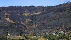 Montes quemados en los incendios de julio en el entorno de Vilamor, en el municipio de Folgoso