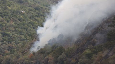 Incendio en A Pobra do Brollón