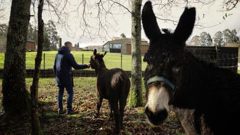 emilio.Emilio rehabilit� la casa de sus bisabuelos, del siglo XIX, en Abegondo
