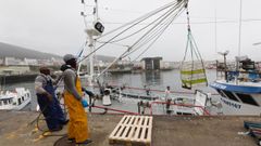 Tripulantes de pesqueros contin�an al pie del ca��n sin mascarillas