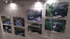 A mostra de O Poti�os est� na casa do Concello do Carballi�o