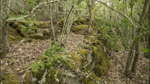 Restos de la iglesia de San Mamede, demolida en el siglo XVIII