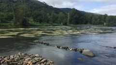 El r�o Sil a su paso por O Barco de Valdeorras