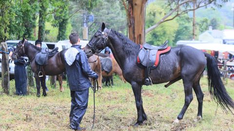 La Feira das Maulas de Galdo es una de las citas m�s singulares del calendario festivo de Viveiro