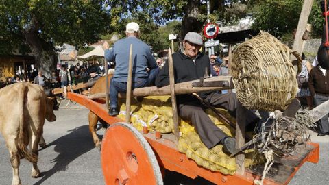 Festa da Pataca en Vilar de Barrio.