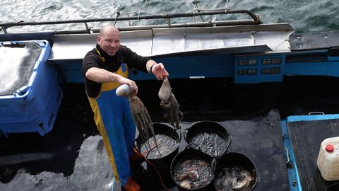 Un pescador mostrando pulpos antes de descargarlos en la lonja de Ribeira a final de febrero del 2026.