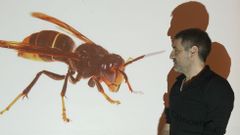 Luis Rodr�guez Lado, creador de Velumap