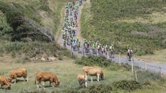 El pelotn del Da da Bicicleta recorri las esencias de Malpica