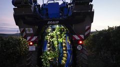 Los nuevos negocios del campo
