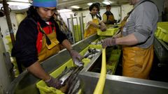 Foto de archivo de tripulantes de un barco espaol preparandolas capturas en el parque de pesca