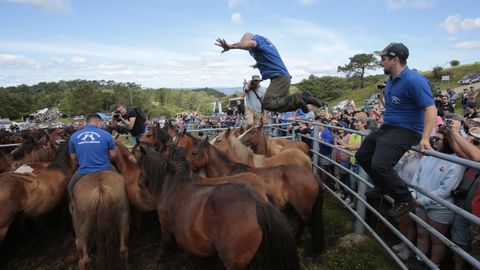 Viveiro celebra su tradicional Rapa das Bestas de Candaoso