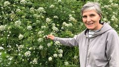 Elvira Sahuquillo advierte de los peligros de la planta del tub�rculo que intoxic� mortalmente a un vecino de Bergondo