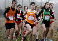 Los corredores competir�n por la ma�ana en el circuito de As Lamas, en Monforte.