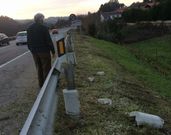 Numerosas piezas se esparcen por las orillas de la N-VI. 