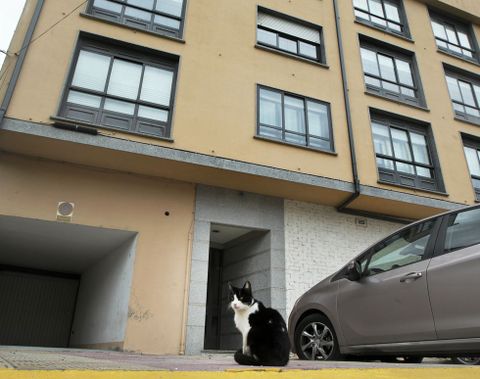La mujer no podr� acceder a la vivienda (en la imagen el edificio) durante dos a�os. 