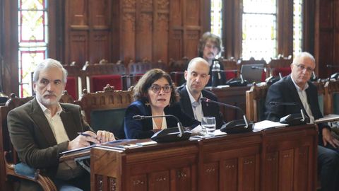 Comparecencia de la consejera de Salud, Concepci�n Saavedra, en la Junta