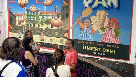 Los murales lucen en las galer�as que comunican Rosal�a de Castro con la R�a Nova de Abaixo