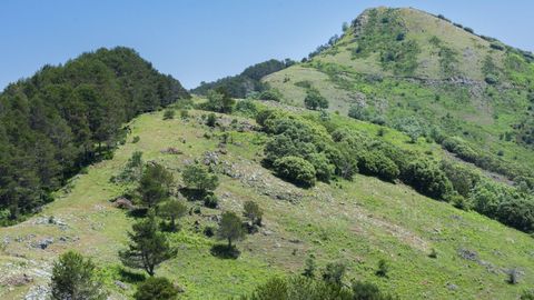Un aspecto de la parte central de la reserva de orquídeas de Hórreos, en el municipio de Folgoso do Courel