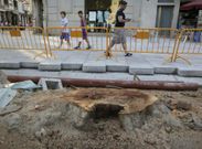 Los trabajos de tala del �rbol arrancaron ayer a las siete de la ma�ana. 