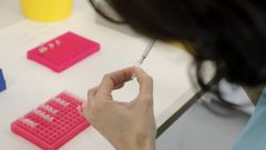 Un instituto de biotecnolog�a lucense podr�a hacer test gen�ticos para el gobierno de Ir�n