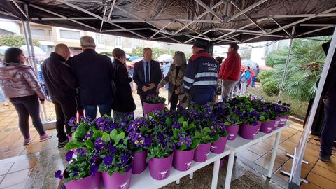 Las macetas con las flores da igualdade antes de ser repartidas entre los asistentes