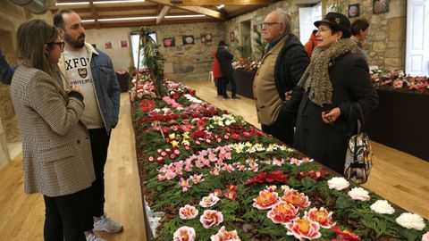  Exposicin de la  camelia en el pazo de Goians