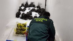 Desmantelan una depuradora ilegal en Rianxo y acusan al gestor de tres delitos