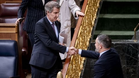 El presidente del Partido Popular, Alberto N��ez Feijoo, saluda al presidente de Vox, Santiago Abascal, en el Congreso.