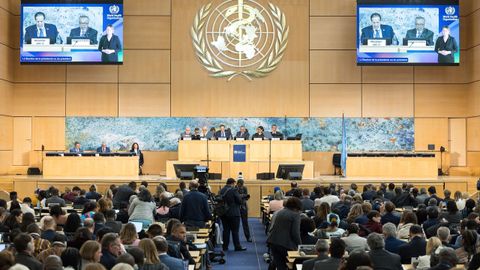 La Asamblea Mundial de la Salud se inaugur� este lunes en Ginebra coincidiendo con dos crisis sanitarias abiertas