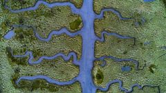 Una de las curiosas formas que adoptan las marismas en la r�a de Betanzos