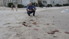 Medusas en las playas de Orzn-Riazor