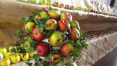 Festival de la Manzana de Villaviciosa