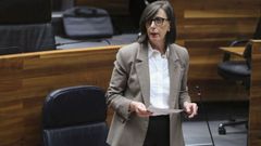 La consejera de Transicin Ecolgica, Nieves Roque, durante su intervencin en el pleno de la Junta general del Principado