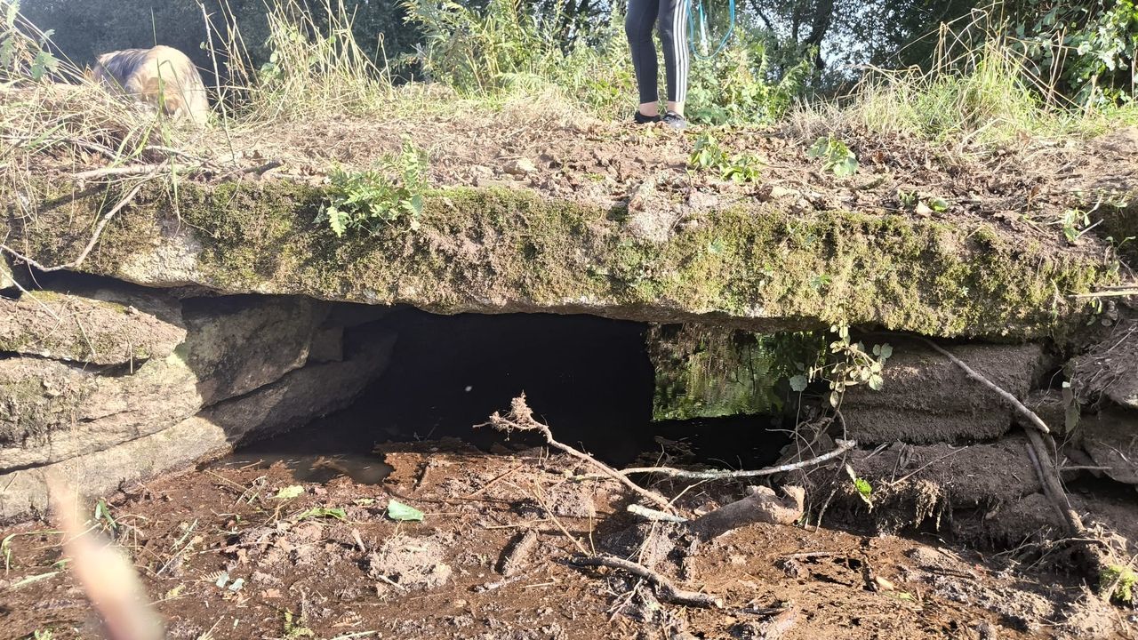 Una asociación ecologista denunció la intervención del Concello en un camino de Rodís