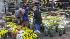Domingo de mercado de flores en Carballo: �las im�genes!